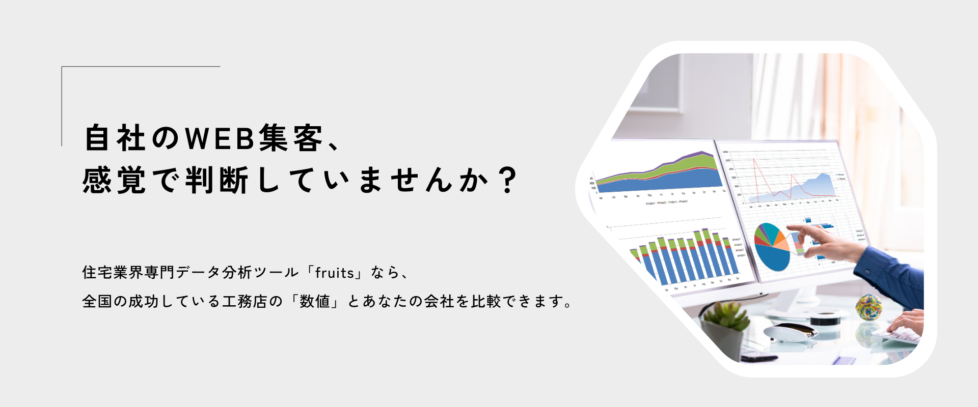 WEB診断レポート<br>fruits -フルーツ-