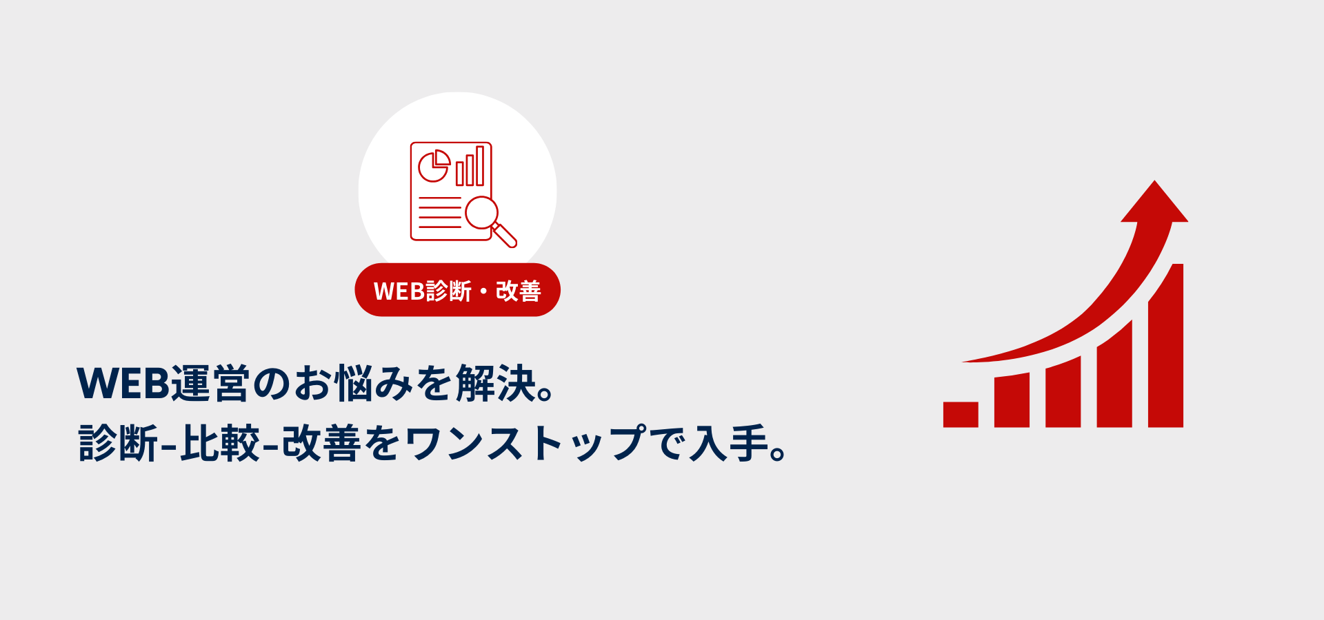 WEB診断レポート<br>fruits -フルーツ-